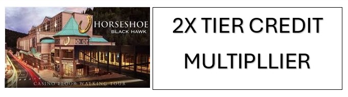 Horseshoe Black Hawk
